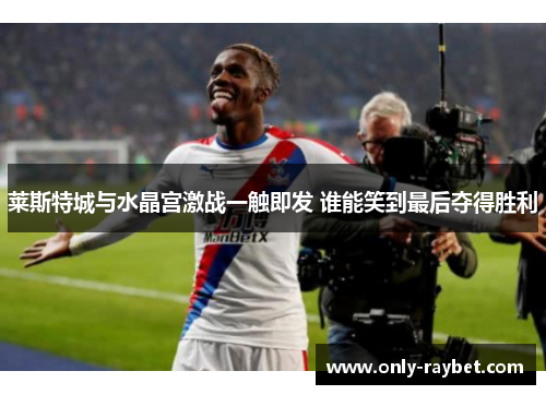 莱斯特城与水晶宫激战一触即发 谁能笑到最后夺得胜利 莱斯特城与水晶宫激战一触即发 谁能笑到最后夺得胜利