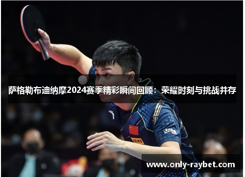 萨格勒布迪纳摩2024赛季精彩瞬间回顾：荣耀时刻与挑战并存