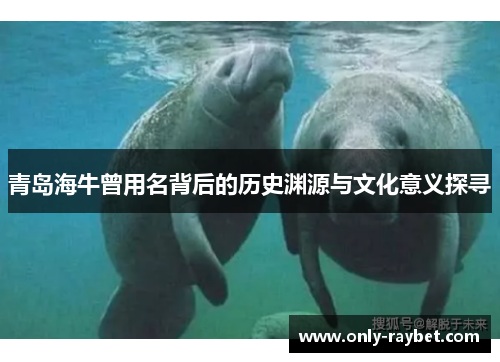 青岛海牛曾用名背后的历史渊源与文化意义探寻 青岛海牛曾用名背后的历史渊源与文化意义探寻